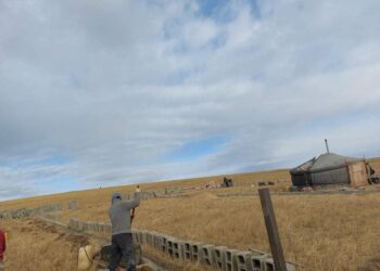 ЮНЕСКО-д бүртгэгдсэн Тосон Хулстайн байгалийн нөөц газарт мянган малчин дураар дургиж байна