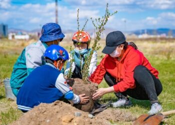 Мод тоолохоос илүүтэй ХАЙРЛАДАГ иргэн хэрэгтэй