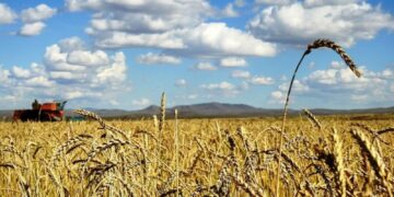 Гурилынхаа хэрэгцээг дотооддоо бүрэн хангана