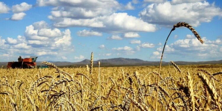 Гурилынхаа хэрэгцээг дотооддоо бүрэн хангана