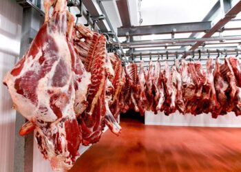 "Өвлийн идэш" өргөтгөсөн худалдааг зохион байгуулна