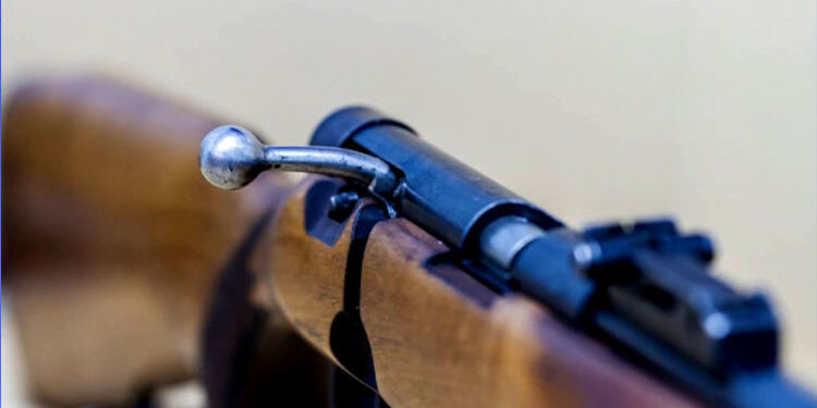 Гурван хүүхдээ хороогоод өөрийгөө буудсан ноцтой хэрэг гарчээ