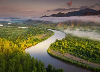 Хил дамнасан голуудын ашиглалтыг зохицуулдаг Хельсинкийн хэлэлцээрт нэгдье