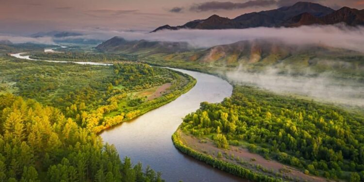 Хил дамнасан голуудын ашиглалтыг зохицуулдаг Хельсинкийн хэлэлцээрт нэгдье