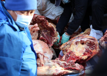 “Өвлийн идэш” арга хэмжээ энэ сарын 20 хүртэл үргэлжилнэ