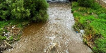 Сэрүүн Сэлбийн түүх оршвой