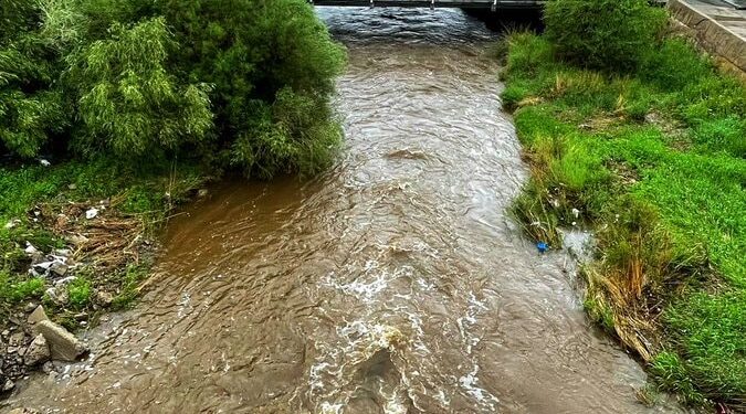 Сэрүүн Сэлбийн түүх оршвой