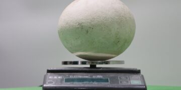 Ховд аймгийн Жаргалант сумаас эртний шувууны бүтэн өндөг олжээ