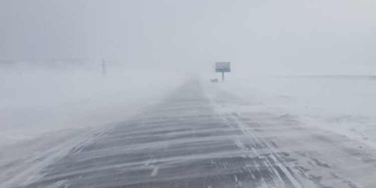 Цасаар шуурч, хүйтний эрч чангарна