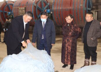 Өвөрхангай жилд нэг сая малын арьс, шир боловсруулах үйлдвэртэй боллоо