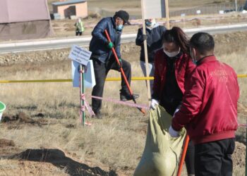 Нийслэлийн ИТХ, Хурлын Ажлын алба “Тэрбум мод” хөдөлгөөнд нэгдлээ