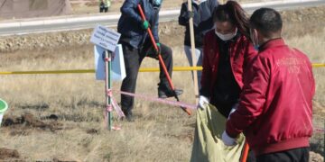 Нийслэлийн ИТХ, Хурлын Ажлын алба “Тэрбум мод” хөдөлгөөнд нэгдлээ