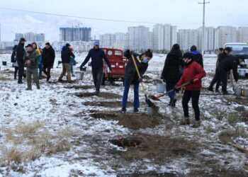 Нийслэлийн ИТХ-ын төлөөлөгчид, Ажлын албаны хамт олон “Тэрбум мод” үндэсний хөдөлгөөнд нэгдлээ