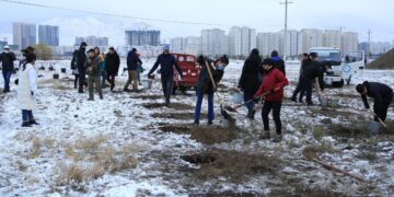Нийслэлийн ИТХ-ын төлөөлөгчид, Ажлын албаны хамт олон “Тэрбум мод” үндэсний хөдөлгөөнд нэгдлээ