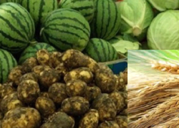 2021 ОНЫ УРГАЦЫН БҮТЭН ЗУРАГЛАЛ