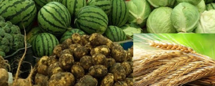 2021 ОНЫ УРГАЦЫН БҮТЭН ЗУРАГЛАЛ