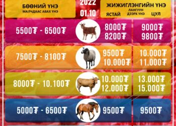 Махны үнэ ханш /2022.01.10/