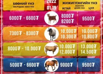 "Хүчит шонхор-Дэнжийн 1000" захын махны үнэ ханш