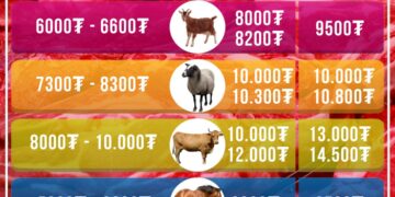 "Хүчит шонхор-Дэнжийн 1000" захын махны үнэ ханш