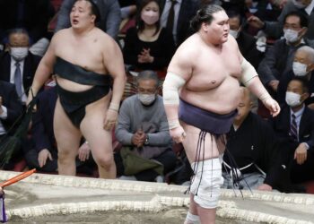 Тэрүнофүжи хоёр дахиа өвдөг шороодов