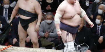 Тэрүнофүжи хоёр дахиа өвдөг шороодов