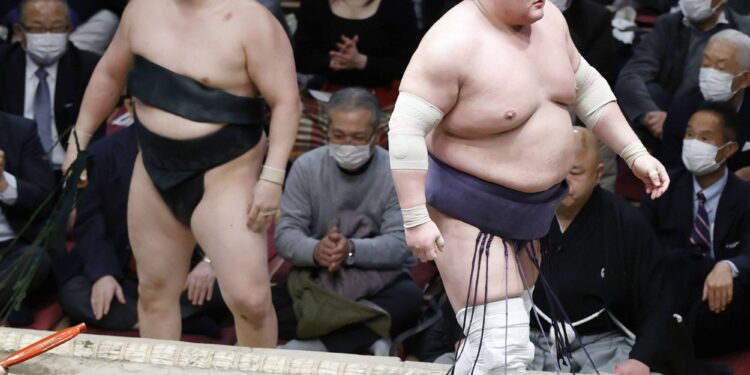 Тэрүнофүжи хоёр дахиа өвдөг шороодов