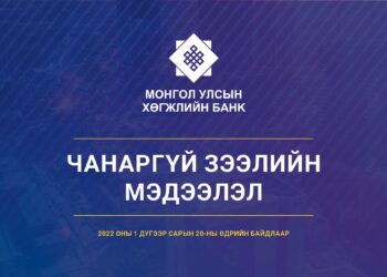 Чанаргүй зээлдэгч 25 компанитай танилц