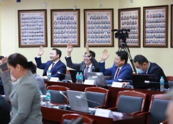 Хөдөлмөрийн үндэсний намын бүлэг байгуулсныг зарлалаа