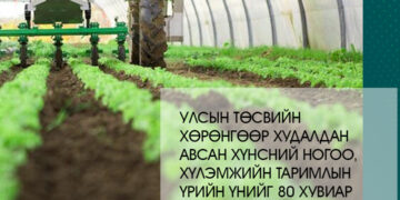 Хүнсний ногоочдод мөнгөн урамшуулал олгоно