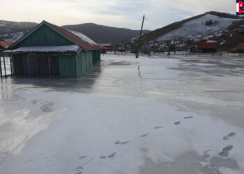 Шарга морьтын ам шар усны үерт автах нөхцөл байдалтай байна