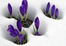 Энэ долоо хоногт цаг агаарын төлөв