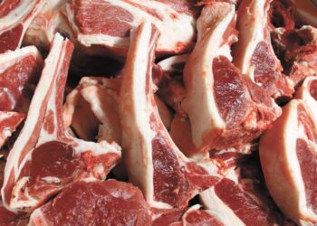 Нөөцийн махыг энэ сарын 25-наас худалдан борлуулна