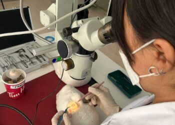 УНТЭ-ийн нүдний эмч нар мэс заслын ур чадвар хөгжүүлэх лабораторитой боллоо