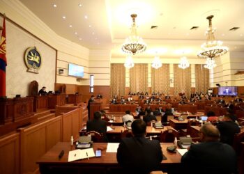 Төсвийн хэмнэлтийн тухай хуулийн төсөлд:  Нийслэлийн Засаг дарга 2, аймаг, дүүргийн Засаг дарга нэгээс илүү орлогч даргатай байхыг хориглоно