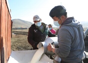 Сүү нийлүүлэгчдэд 3.6 тэрбум төгрөгийн урамшуулал олгожээ