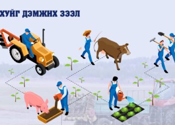 З.Мэндсайхан: Хөдөө аж ахуйг дэмжих зээл олгох боломж бүрдлээ
