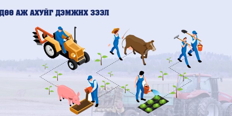 З.Мэндсайхан: Хөдөө аж ахуйг дэмжих зээл олгох боломж бүрдлээ