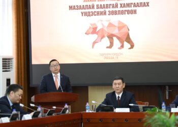 Мазаалай баавгайн тоо толгой 50-д хүрчээ