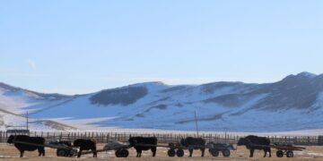 Маргааш ханш нээх өдөр