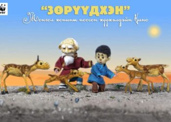 Ховдын залуус монгол хонины ноос ашиглан хүүхэлдэйн киног бүтээжээ