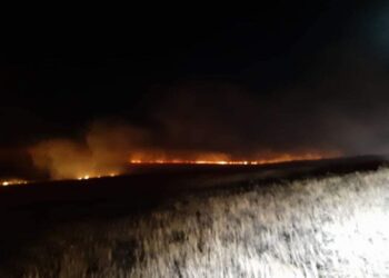 Урьдчилсан байдлаар долоон айлын гэр, 50 гаруй бог түймэрт шатжээ