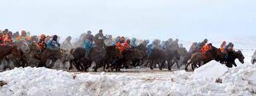 Цэвэр цусны монгол адуугаа авто машинаар байлна