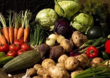 Хүнсний ногооны үр олгож байна