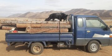 Үнэрч нохойг байгаль хамгаалахад  ашиглах туршилт эхлүүлжээ