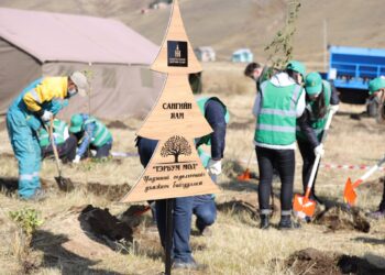 Мод тарихад хэлбэрдэлт ИЛҮҮЦ