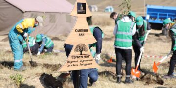 Мод тарихад хэлбэрдэлт ИЛҮҮЦ