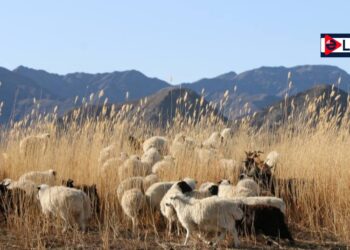 Эх орны хөрсөнд ургасан эрүүл хүнс хэрэглэх сайн цаг эндээс эхэлнэ