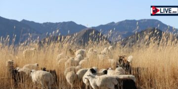 Эх орны хөрсөнд ургасан эрүүл хүнс хэрэглэх сайн цаг эндээс эхэлнэ