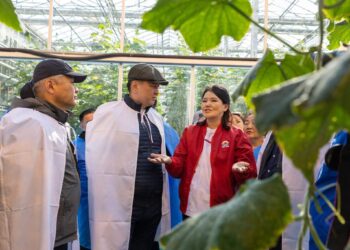 Монгол Улсын Ерөнхийлөгч У.Хүрэлсүх хүнс үйлдвэрлэгчидтэй уулзаж, тариалангийн бүс нутагт ажиллаж байна