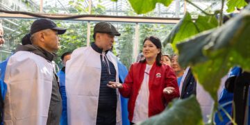 Монгол Улсын Ерөнхийлөгч У.Хүрэлсүх хүнс үйлдвэрлэгчидтэй уулзаж, тариалангийн бүс нутагт ажиллаж байна